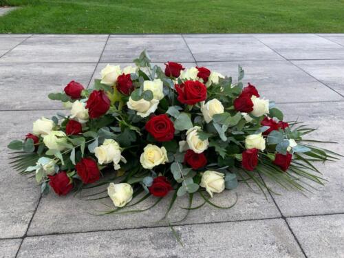 WhatsApp Image 2021-12-28 at 7.52.38 PM